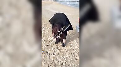 Mady spogliarello in spiaggia onlyfans