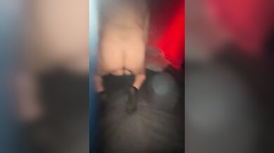 Il bull la sbatte a dovere