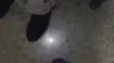 INGOIA TESORO - Fidanzata italiana ditalino e sborrata in bocca