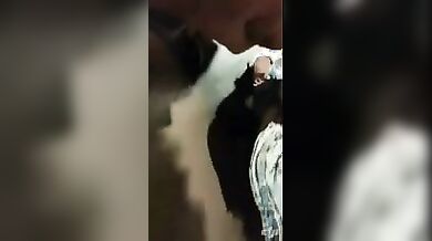 Scopata con amica troia romana nel bagno della discoteca