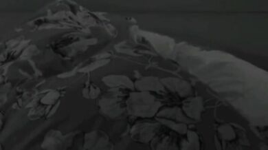 Oriana Marzoli scopata al GFVIP da Antonino