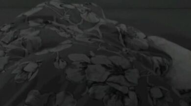 Oriana Marzoli scopata al GFVIP da Antonino