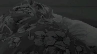 Oriana Marzoli scopata al GFVIP da Antonino