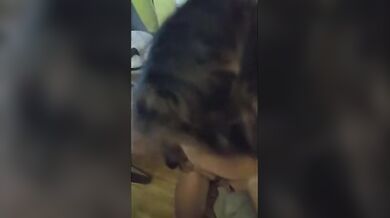 Dillo! Sono una puttana