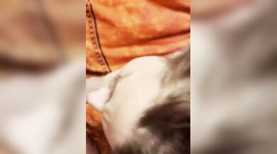 Le scopo la bocca e le riempio di sborra la faccia