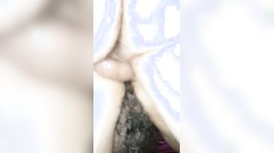 Godi porca