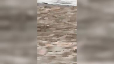 Fai il video non ci voglio credere scopano qui