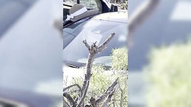 Guarda la sua tipa segare esibizionista