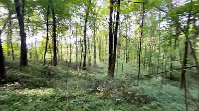 Fidanzata scopata amatoriale nel bosco