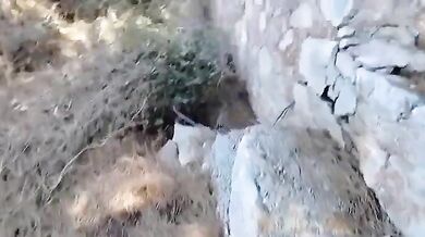 Coppia italiana beccata scopando in pineta