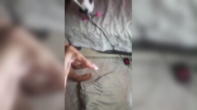 Me lo stai spingendo nei molari cazzo