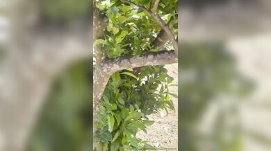 Ci provo con un giovane giardiniere