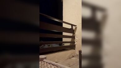 Milf porca mostra le tettone in live