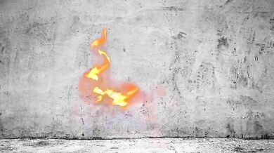 Pur0sangue scopa Mati sulla Panda