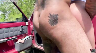 Pur0sangue scopa Mati sulla Panda