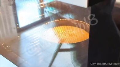 Coyote scopata sul tavolo in cucina NEW OF