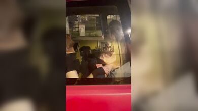 La stai sventando leone