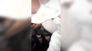 Alessia fa vedere la fica