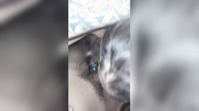 Sei uno spettacolo con la bocca