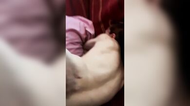 Sentitela godere vi eccita?