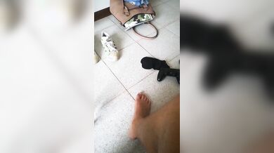 Cosa fai concia cosi? Dai stupido