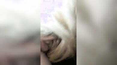 Dagli un'altra ciucciata che poi ti montiamo