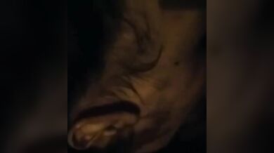 Pompino fidanzata con venuta in bocca (dialoghi italiani)