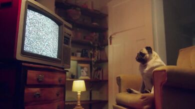 Pompino e bel footjob Marika Milani