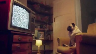 Marika Milani scopata nella sauna e riempita di sborra