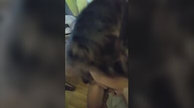 Cosa sei?Una puttana...dillo forte