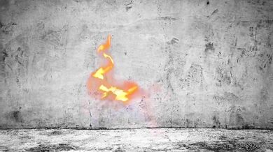 Shelena scopata da Lucas