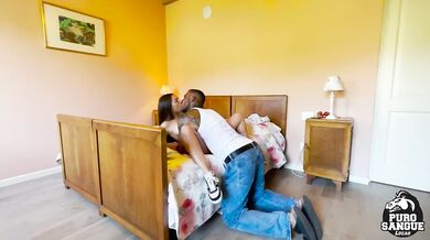 Shelena scopata da Lucas