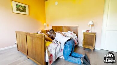 Shelena scopata da Lucas