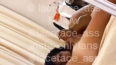 Lacetaceas pompino Of