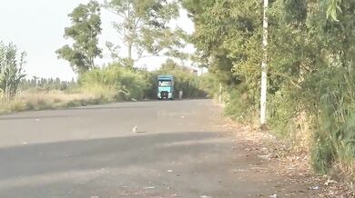 Sega guardone davanti al cornuto in auto