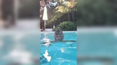 Alba Parietti nuda nuota in piscina