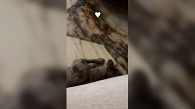 Chiara Frattesi tettona famosa