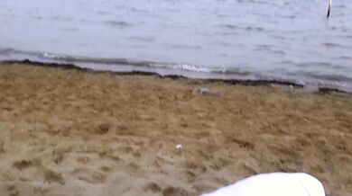 Lecco la fica a mia moglie al mare