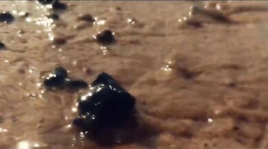 Giorgia Crivello seghe a martello video porno