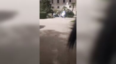 Pompino sulla panchina al parco