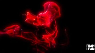 Giulia Napolitano la sua prima volta gran inculata