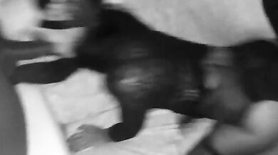 Trio moglie italiana con due black