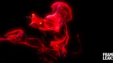 G1ulia N4politano primo porno professionale con Christian Clay ESORDIO