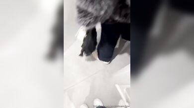 Tre troiette spompinano un loro fan