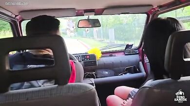 Stallone italiano scopa turista latina sul trattore