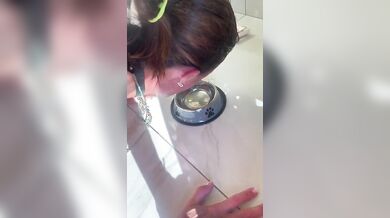 Beve dalla ciotola la mia cagnetta