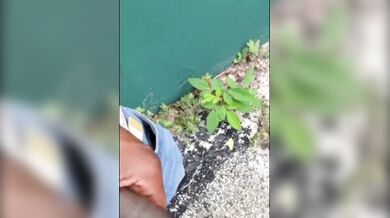 Black cock fuck my ass