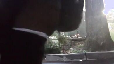 Black cock fuck my ass