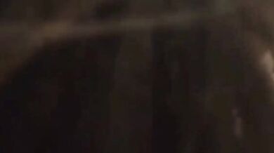 Sono la tua troia lo sai vero?