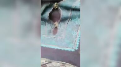 Milf italiana esibiionista fa una sega a vecchio guardone in auto